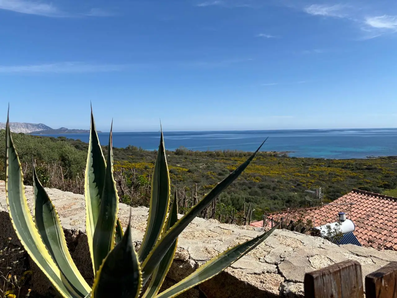 Vista mare dal bilocale a Costa Caddu, San Teodoro, Nord Sardegna