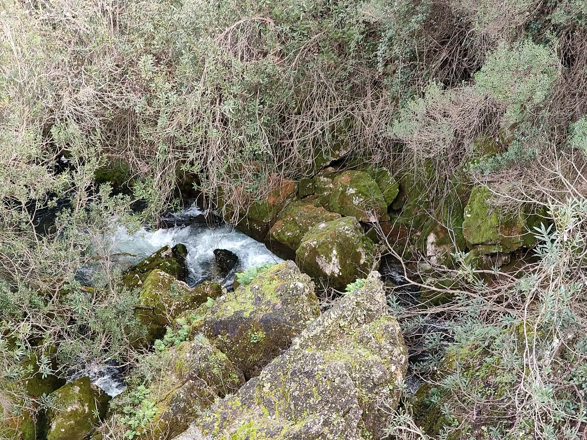 Cascata nascosta nella natura della Sardegna, tra rocce e vegetazione incontaminata
