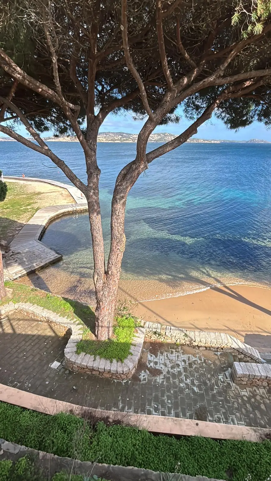 Traghetto attraccato in un porto sul mare con lungomare alberato e sole basso all’orizzonte